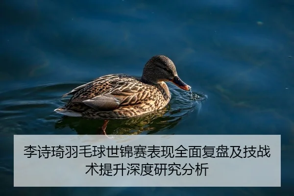 李诗琦羽毛球世锦赛表现全面复盘及技战术提升深度研究分析